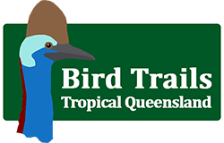 Bird Trails Tropical North Queensland