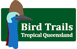 logo-long-final